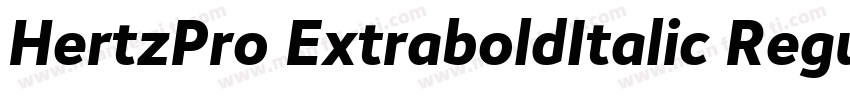 HertzPro ExtraboldItalic Regular字体转换